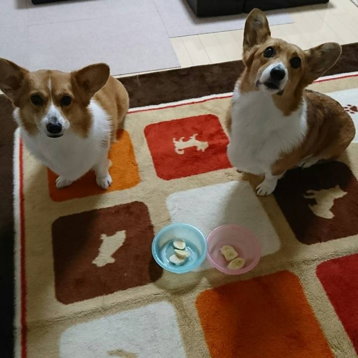 0ede1139 fb4e 4034 a17d 9d280100888c