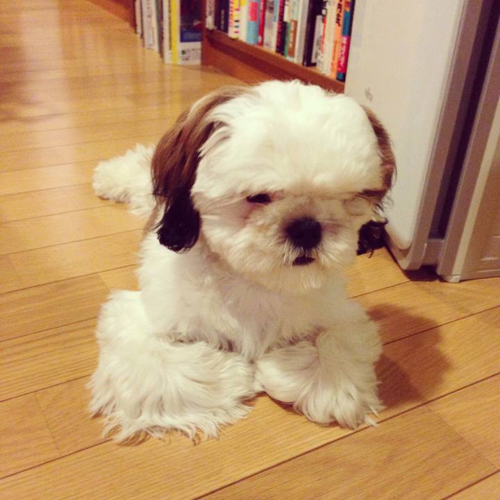 0ede6f5c e883 49f4 8bcc 05440c5e1ce8