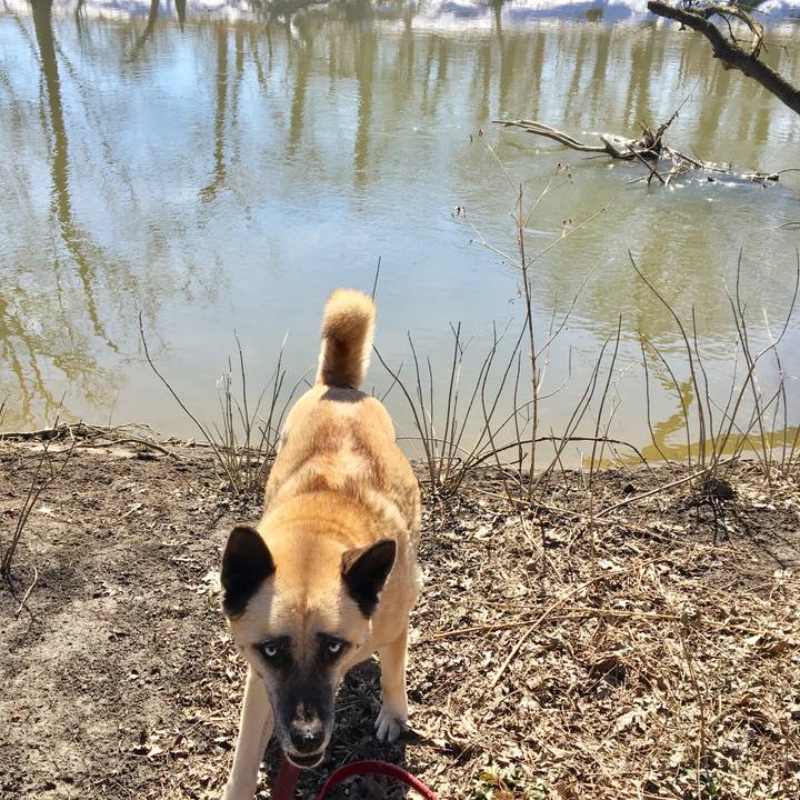 0edfa487 8d21 4f06 8145 56d86e89b328