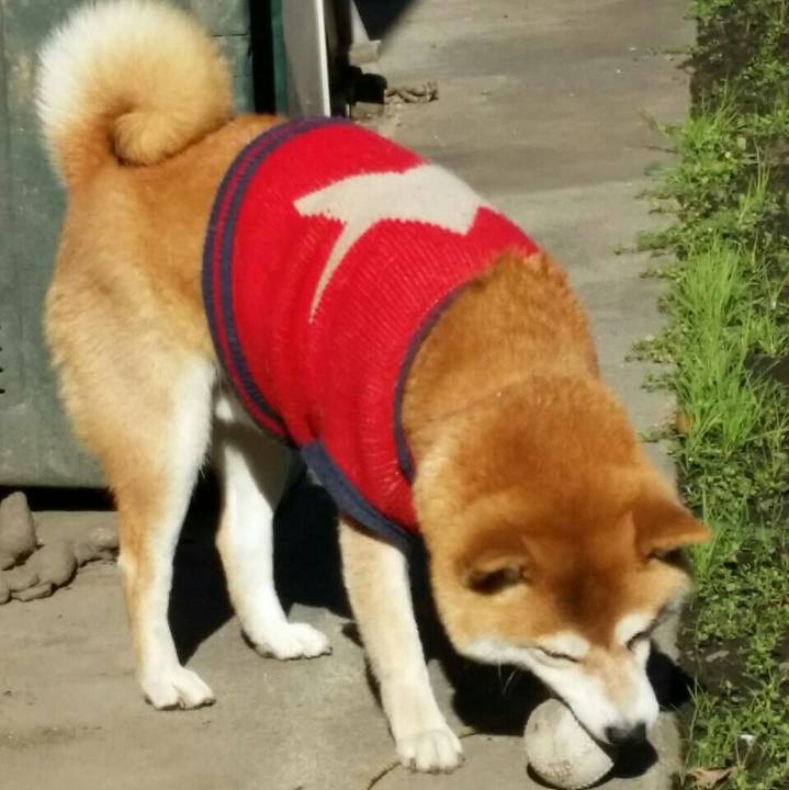 0edfd96c 09f8 4c32 afb6 da4d3a61abfb