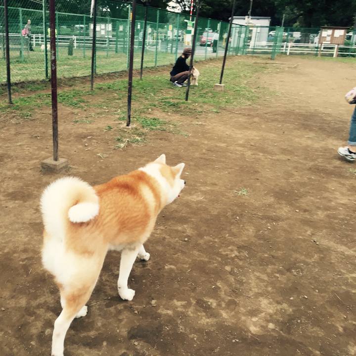 0ee03a12 d9d2 4862 993d f28065a51a32