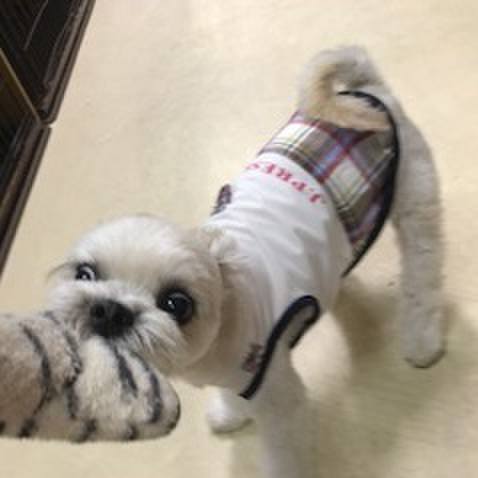 0ee0a571 1637 4c92 9e37 99917ba4b65d