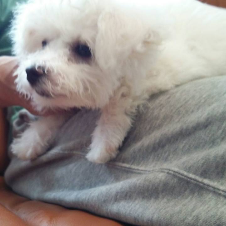 0ee0b9bb a23e 4d88 a7eb 45a741d6a68d