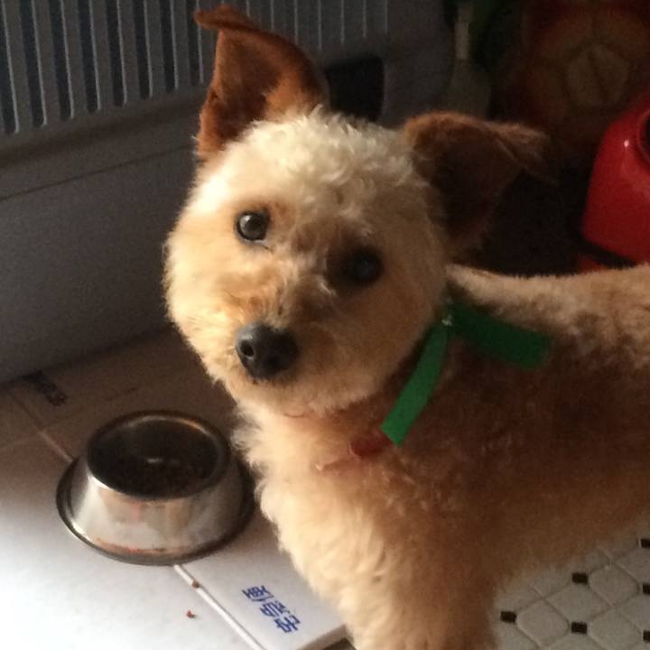 0ee0e220 ffbd 49cb aa53 1918d66aa849