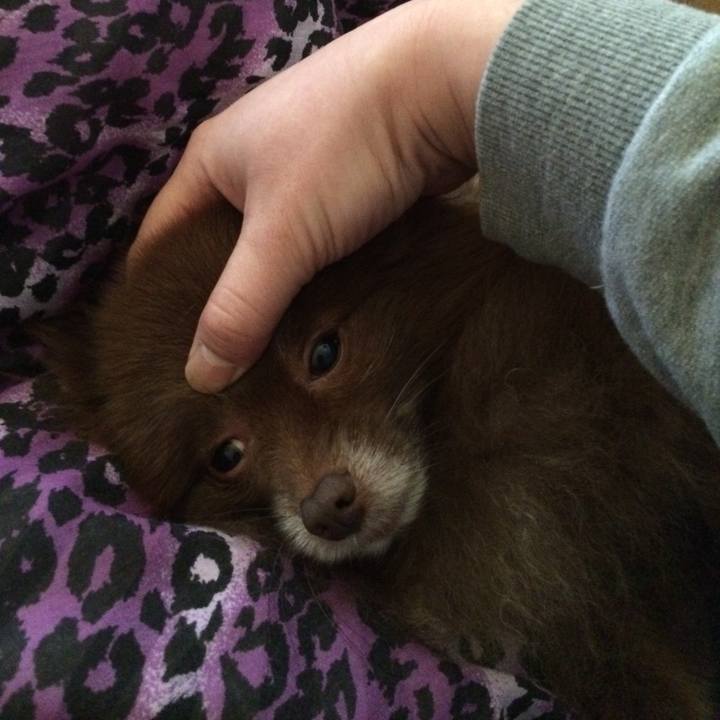 0ee13aeb 4b53 4434 a999 be74f0613970