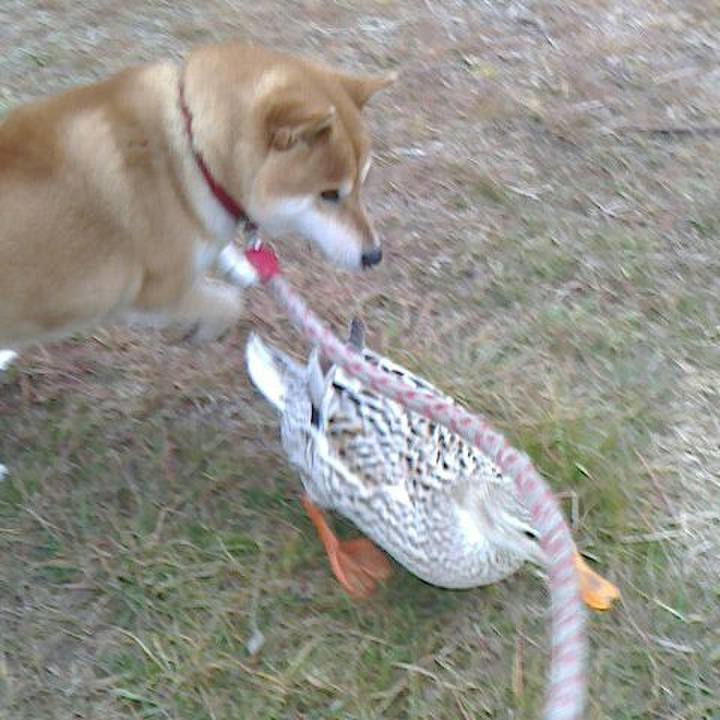 0ee13fae d36a 4055 84c3 f4b377acdce8