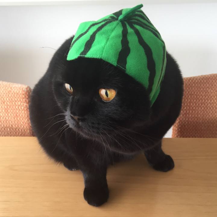 0ee15b63 b435 42fa b874 9edd9832075d