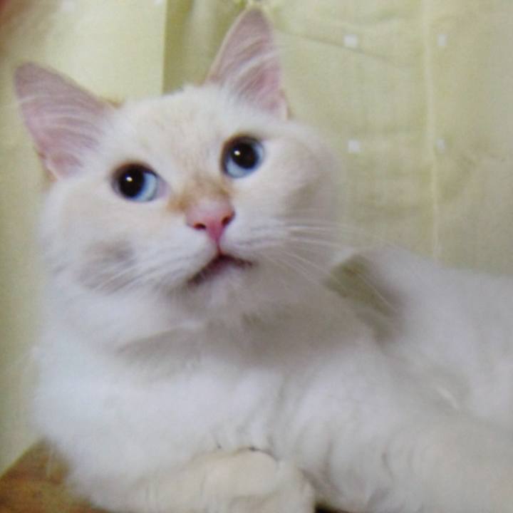 0ee15cfd 9b84 4ac1 b404 a0991205079d