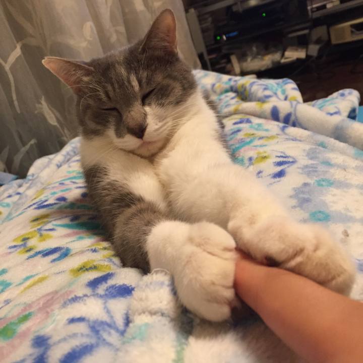 0ee18bad 1438 48f0 9d7c 96c614f4d374