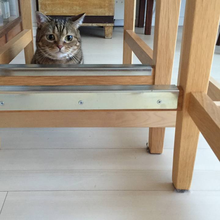 0ee1ea39 7d48 4c5e a162 fc01f792723f