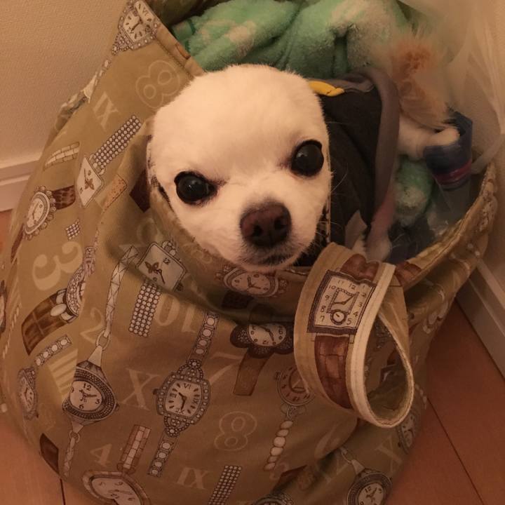 0ee239fd 0de3 4f17 9573 4ddc4b99bf41