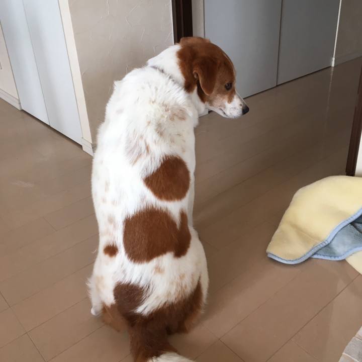 0ee25318 022d 42b2 b2dc fb521ccfd8fa