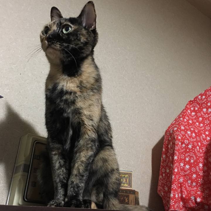 0ee29121 09bb 4949 9ff0 64fc2124d859