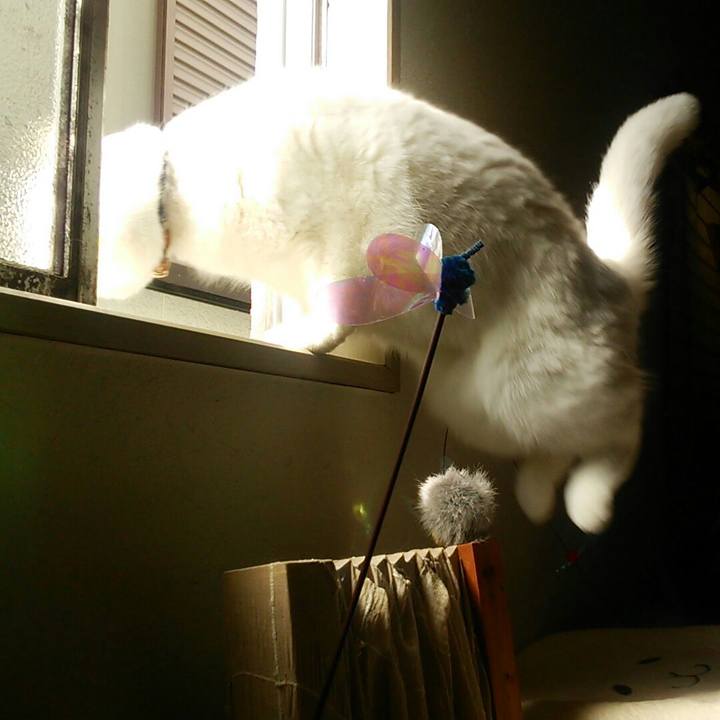 0ee2b33b 7c50 4ea6 afe7 00099d3897ac