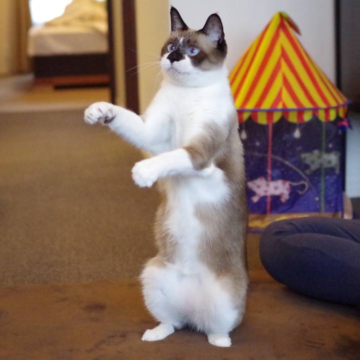 0ee2ee2e b7c6 445c a02f 58623f68e146