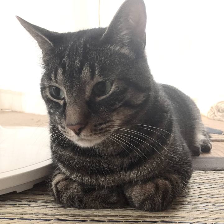 0ee30095 c9b8 4a3a 9862 061a5d6e64d1