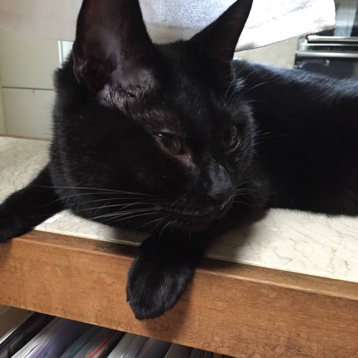 0ee3616f 8299 439a b3ed 8a130cae4d7d