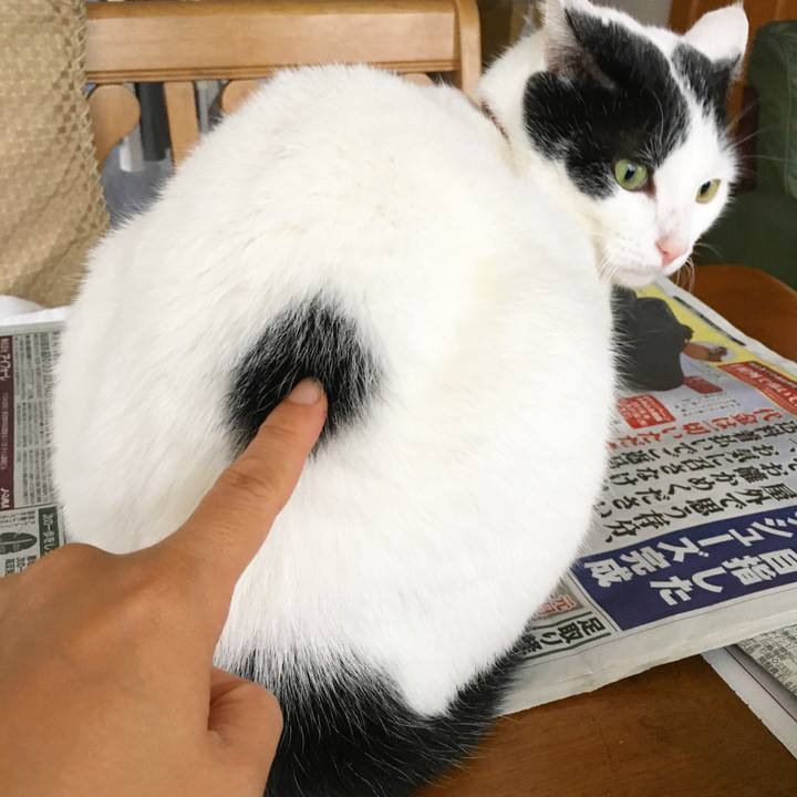 0ee5efb5 6d1b 40da b7d9 1cf67dc7ba7b