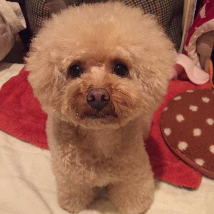 0ee5f2f6 c7b8 4be1 9190 1d6a59a7c3ea