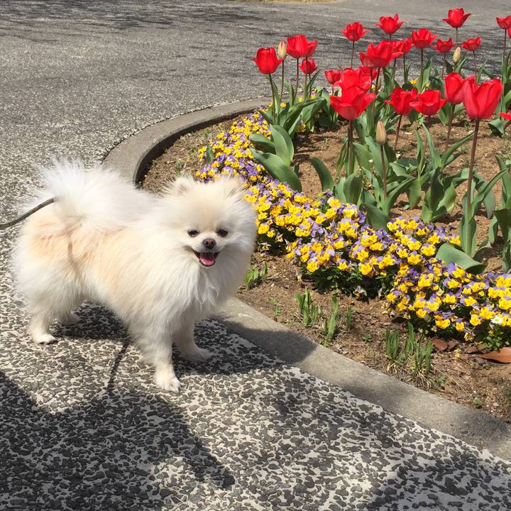 0ee61fa1 b7ae 4b1a 8119 51ac8bb9505d