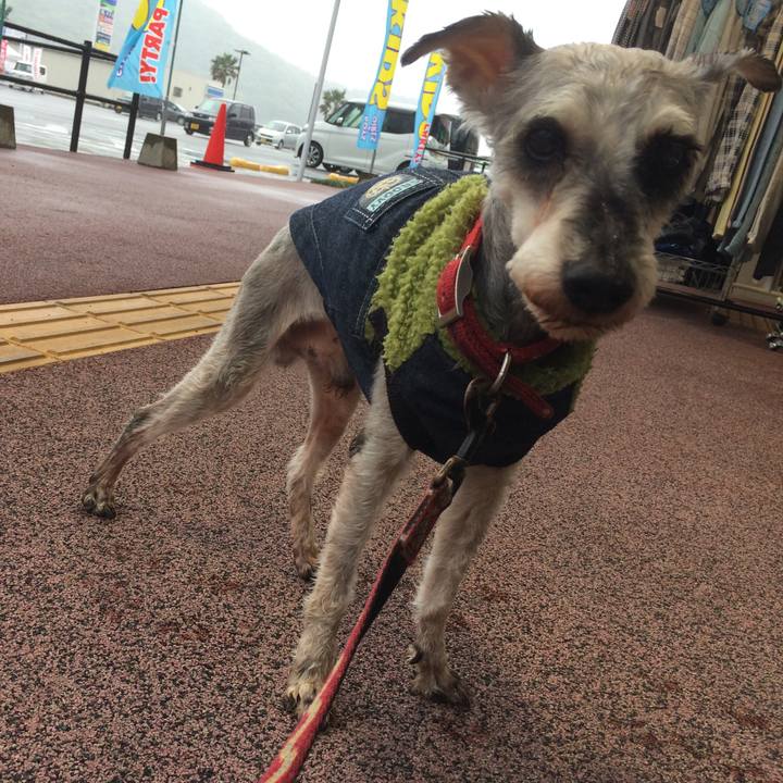 0ee6252b 9cf7 4167 a4e9 d6ee3a335d9c