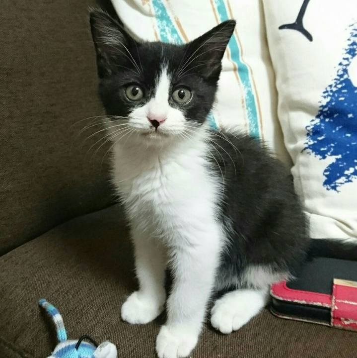 0ee6dffb 6111 4e81 b60b a8a85c4c6788