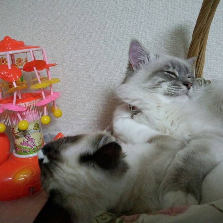 0ee7643b e501 4a9b 87d1 5b92893f3d50