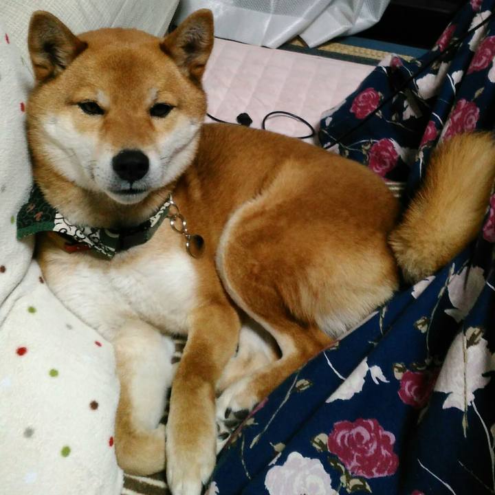 0ee820e5 664e 4024 aeb9 313958a44146