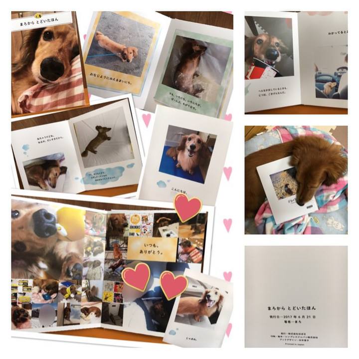 0ee87596 a402 4453 adfa e48cbb594c89