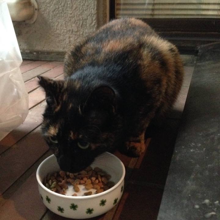 0ee8972b 3476 4e3c af81 959490d5bb16