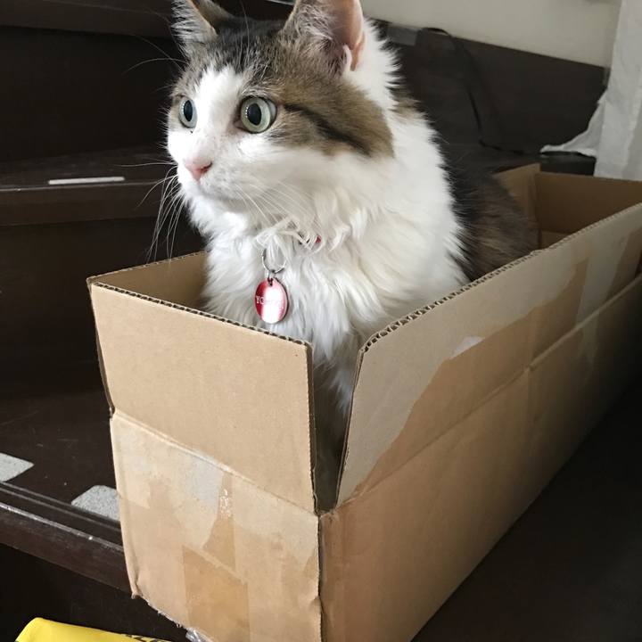 0ee8ab4e c643 4599 9ad0 e083c3469848