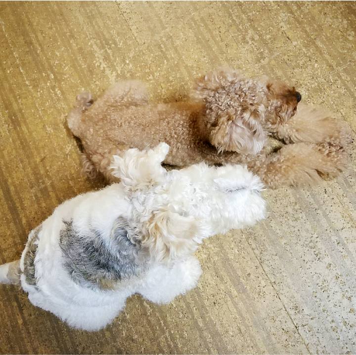 0ee92d74 3c76 4501 b85a 849a5f7769eb