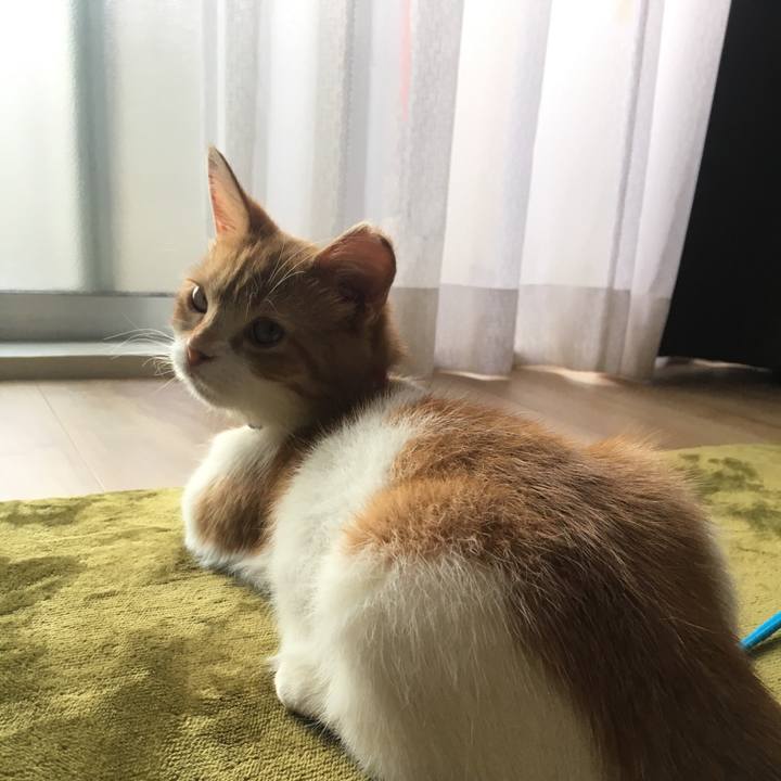 0ee947bf 01ed 4de8 88d8 e43e6e5b5ba5