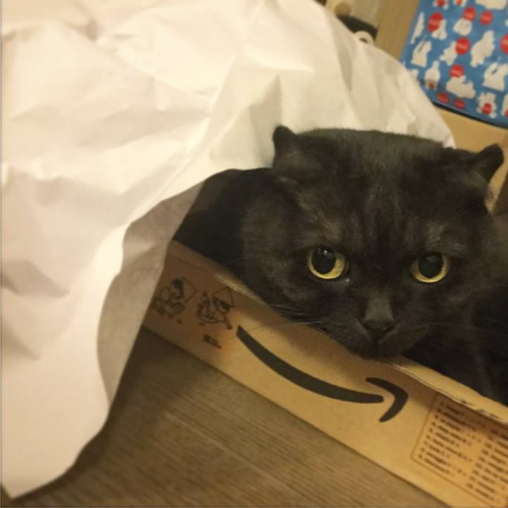 0ee97203 b396 417a 9c4d 30a6b8a0a0e5