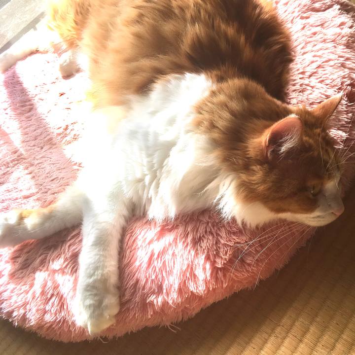 0ee9f51e 0332 4e9a 9abb 5f80d43fe39b