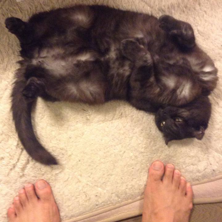 0eeab393 77fc 40a8 af37 57e430bcd9b8