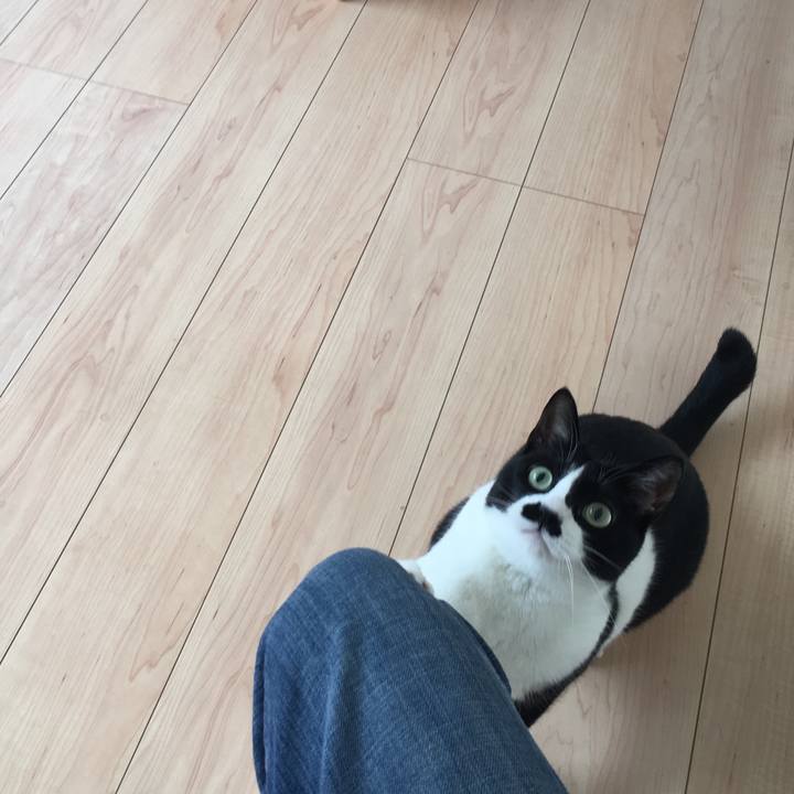 0eeb68bf c9c6 4f65 95ff 639e4c0ba56d