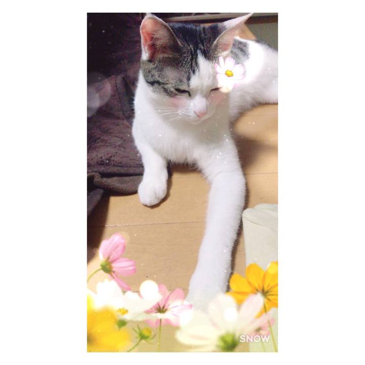 0eec1a74 7b3e 4514 8713 d6aa4371690a