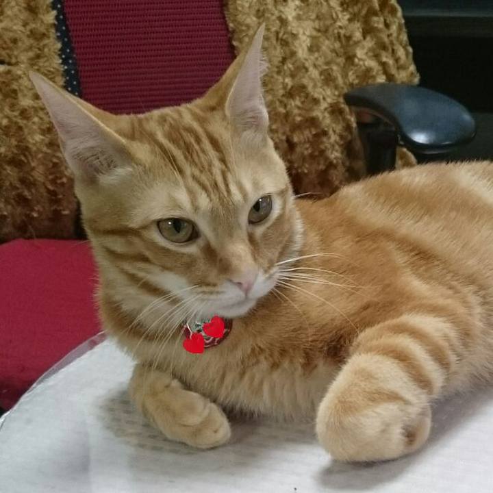 0eec25e5 a7b6 4d9f 9553 2389eb15744c