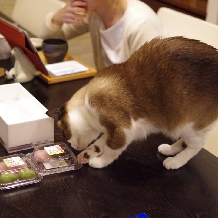 0eec9333 7837 4bf8 b01f 81d108f425ea