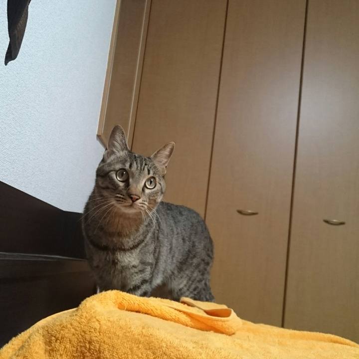 0eed8079 1e38 4b19 88cc fe4bf69478ef