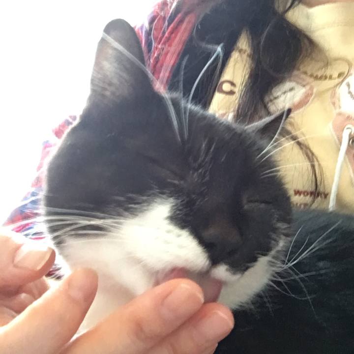 0eee4752 06fc 48bb 8668 b4d38822fee6