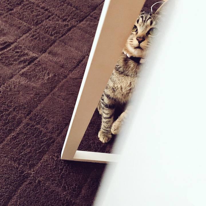 0eee5325 c1c4 42d4 a90a ac8f6cea0520