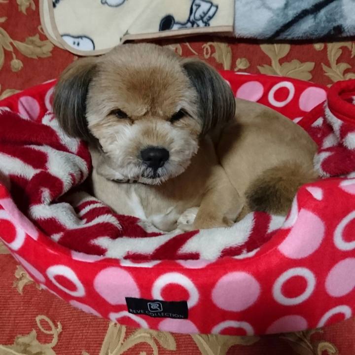 0eee7fe3 ed5d 4071 b9d8 db45996e7e8c