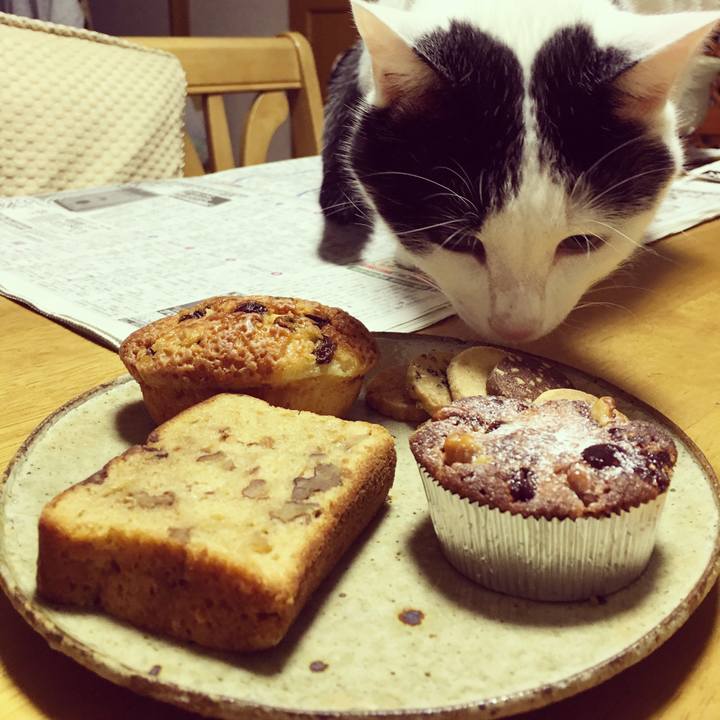 0eef0d2c 1bfa 4b97 a106 507cd83b5579