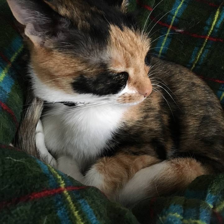 0eef0e58 5137 4a9e a7f7 25122e1b542a