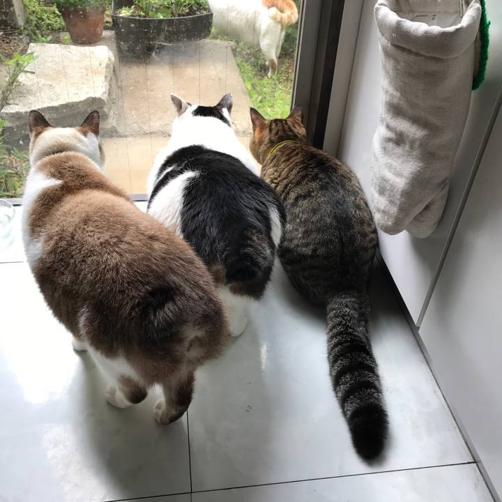 0ef022e4 75dd 4eff aaf5 7db2f597f58f