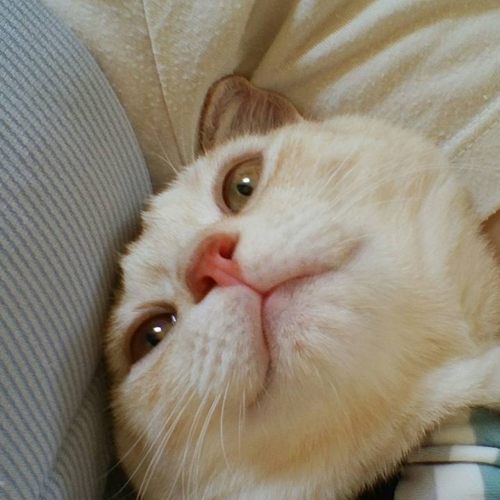 0ef06a54 51a6 4474 8c3b dc43489551ba