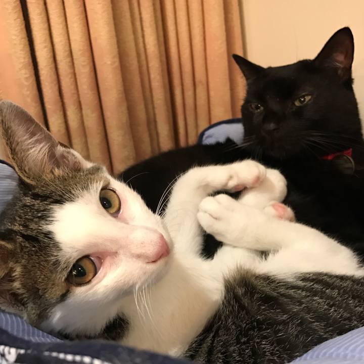 0ef07334 f456 42dc a655 44f7a87b2115