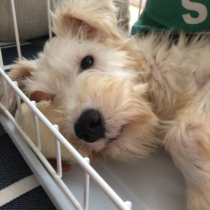 0ef0dd9a dcf9 4c1e a748 d55876588142